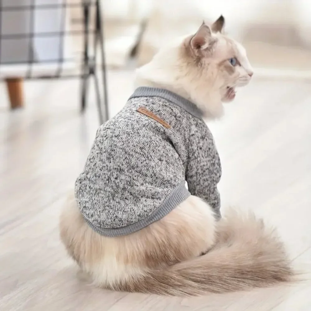 Heather grey sweater for medium size pets